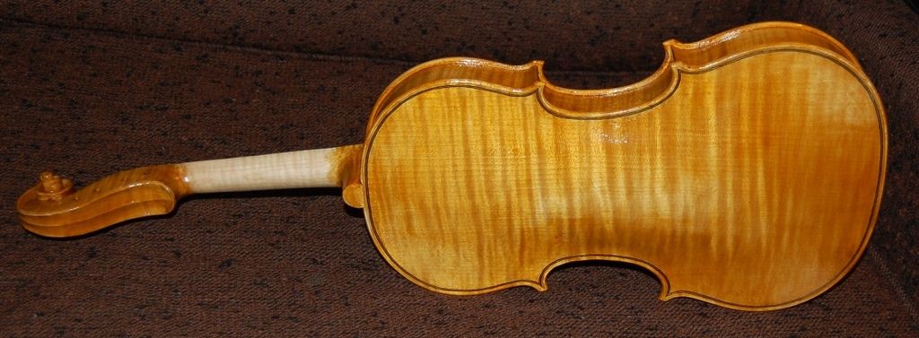 fifth coat varnish back of violin