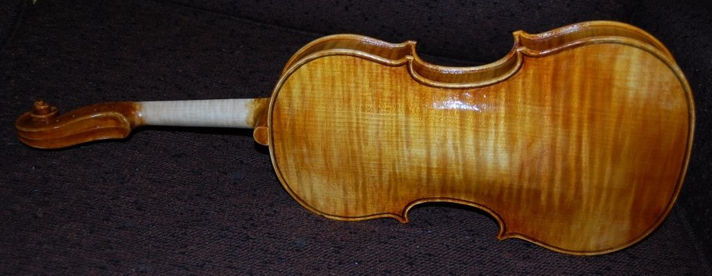 Seventh coat of varnish on the back of the violin.