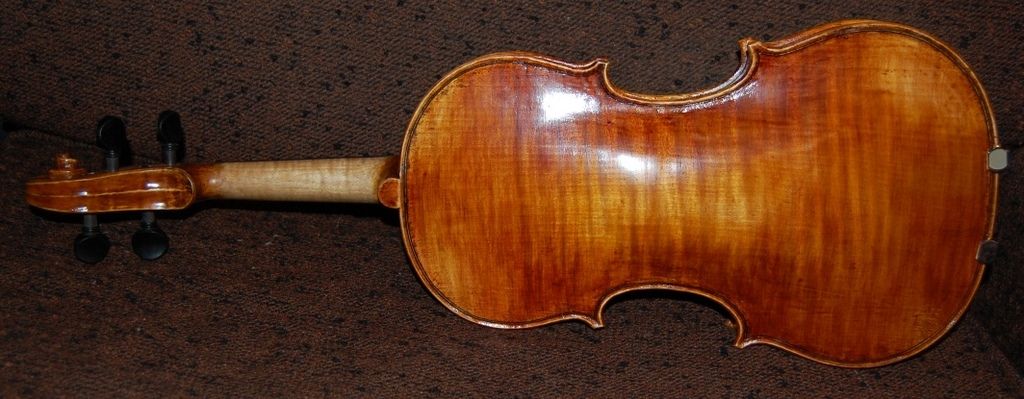 Back view finished violin.