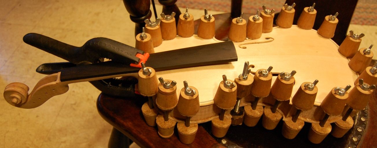 Viola in spool clamps