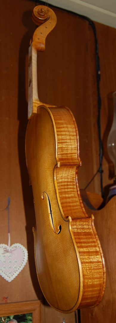 Viola with four coats of yellow-gold varnish.