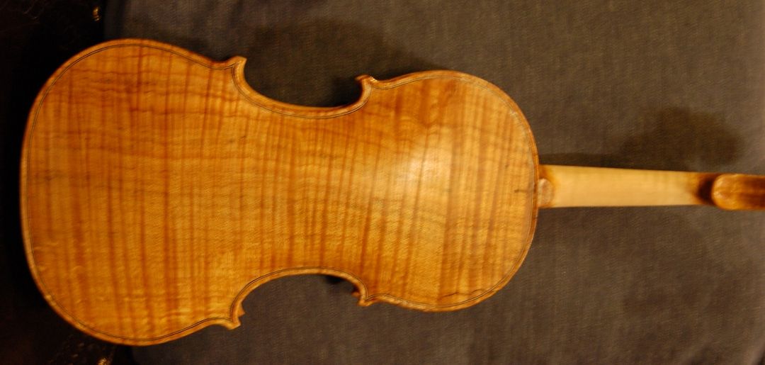 viola with two coats of varnish
