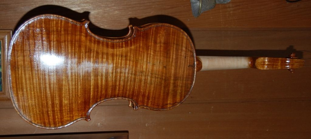 Viola back with six coats of spirit varnish.