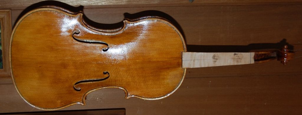 Viola front with six coats of spirit varnish.