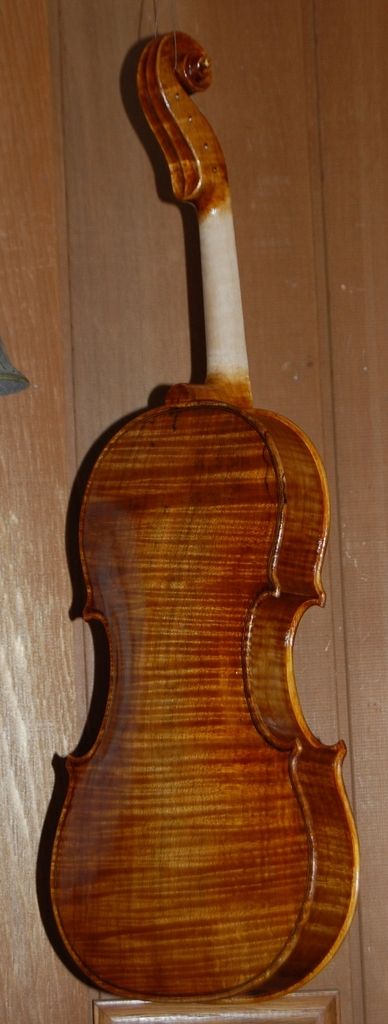 Viola back with eight coats of spirit varnish.