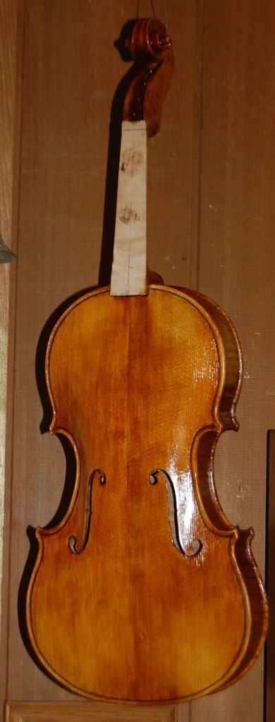 Viola front with eight coats of spirit varnish.