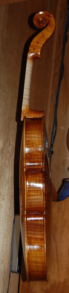Viola side with eight coats of spirit varnish.