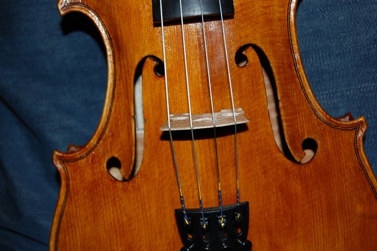 Bridge and sound-holes viewed from the front of the instrument.