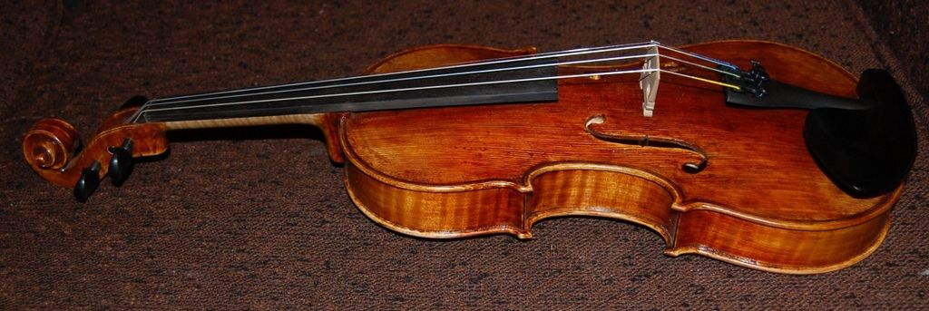 Finished violin , side view.