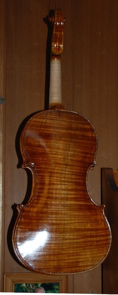 viola back with final coat of varnish