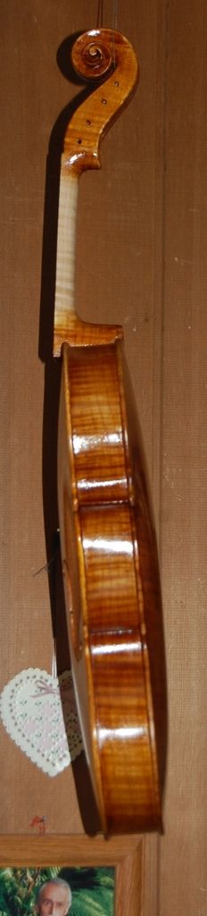 viola side with final coat of varnish