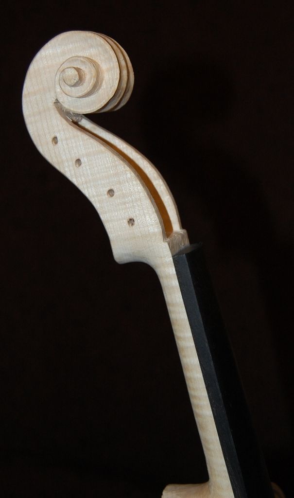 Scroll and neck with fingerboard