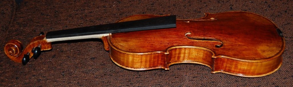 Side view with fingerboard and tuning pegs