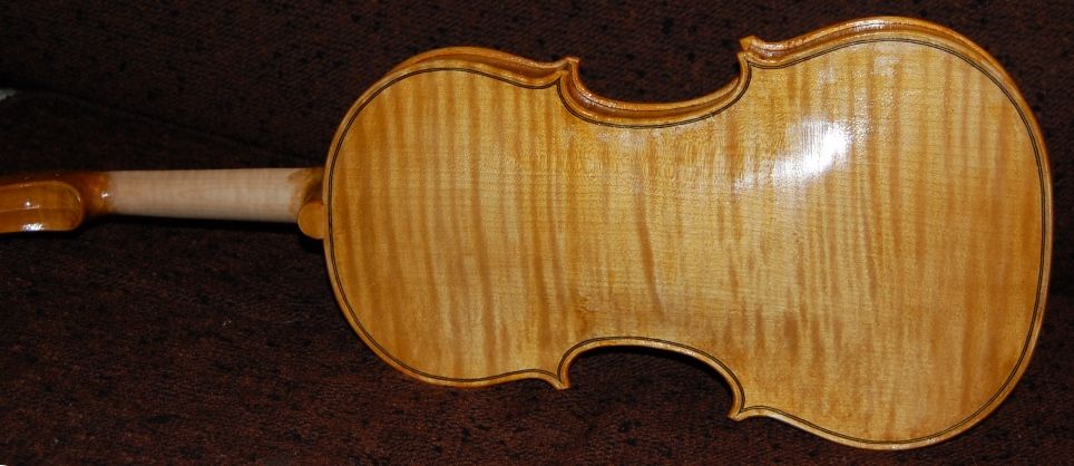 Violin back with three coats of varnish.