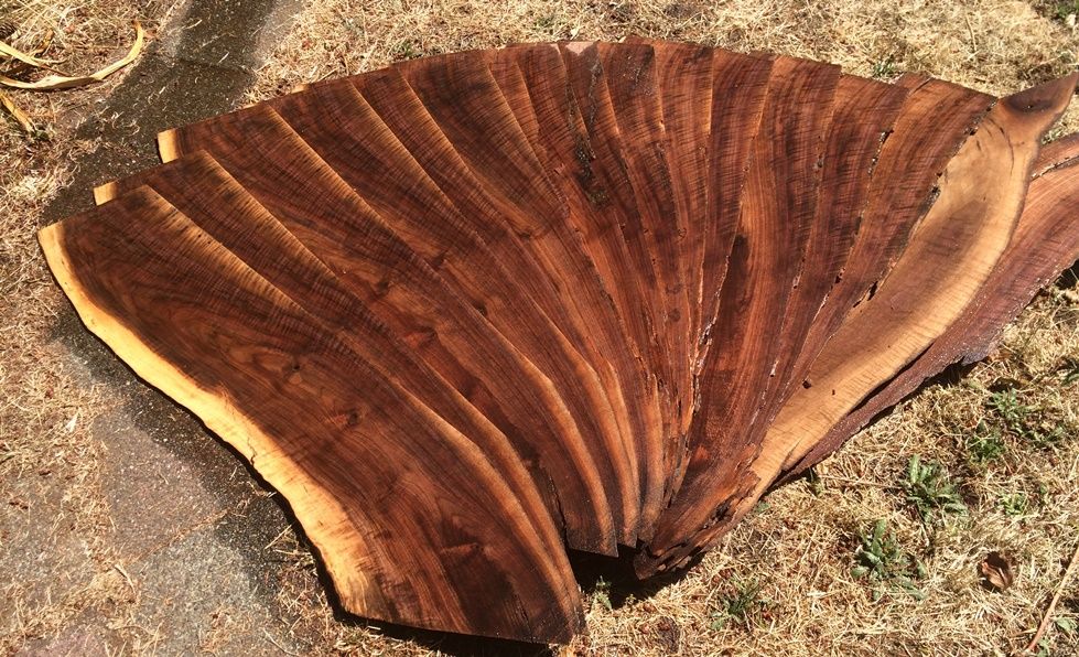 Black walnut Guitar backs and sides