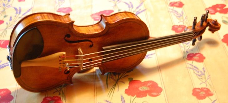 Oliver five-string fiddle front