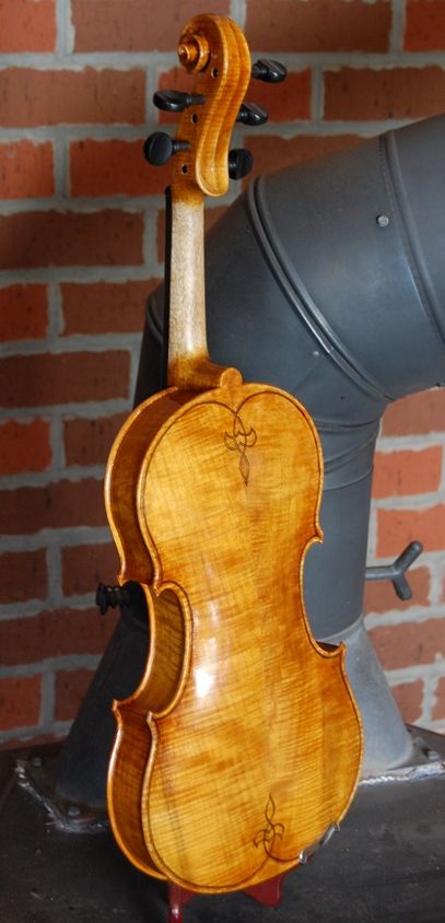 Myrtle back plate of Myrtle/Port Orford Oliver acoustic Five-String Fiddle. Handmade in Oregon by Chet Bishop.