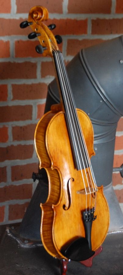 Port Orford top plate of Myrtle wood Oliver acoustic Five-String Fiddle. Handmade in Oregon by Chet Bishop.