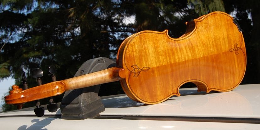 Varnished 5 string fiddle back