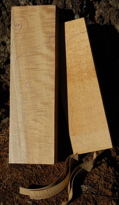 Close-up of wood for Myrtle/Port Orford Fiddle