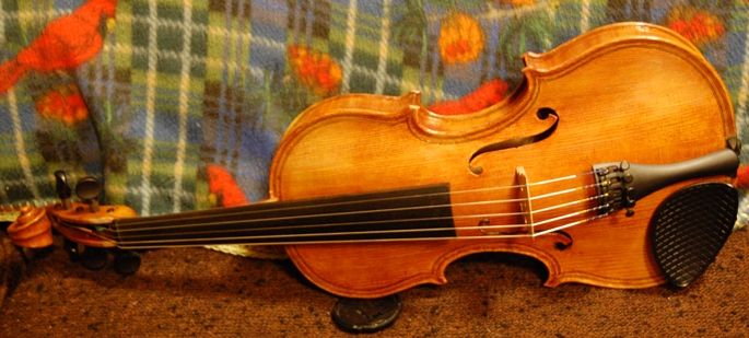 Front of completed Oliver five-string fiddle