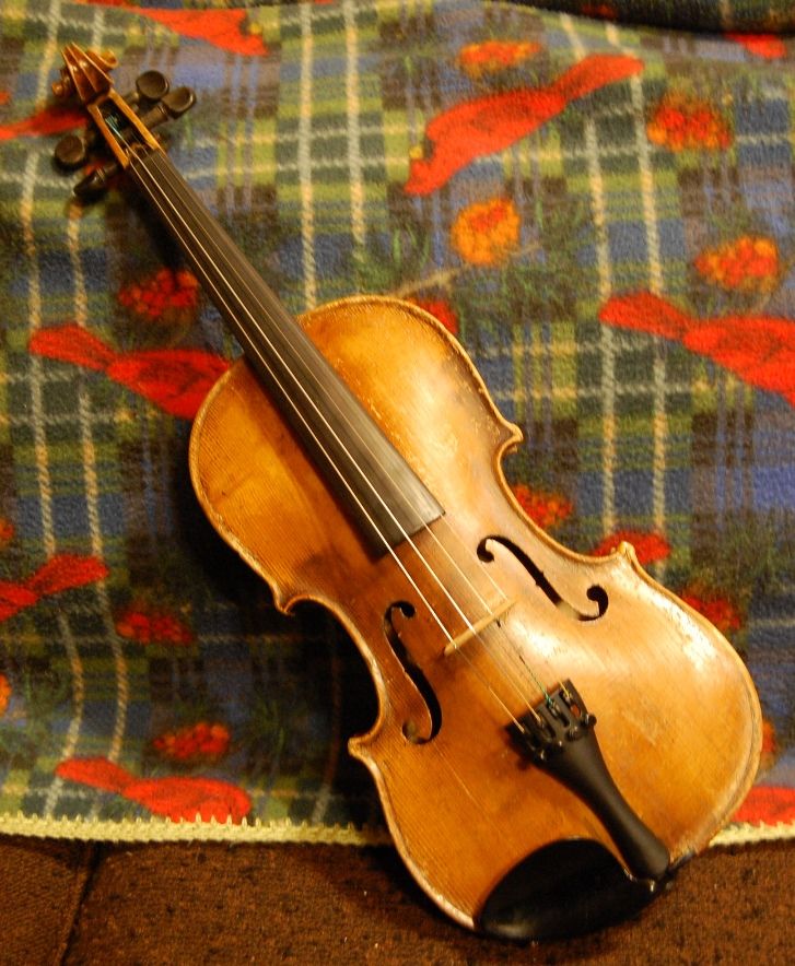 Warm, friendly old Fiddle, headed for a new home.