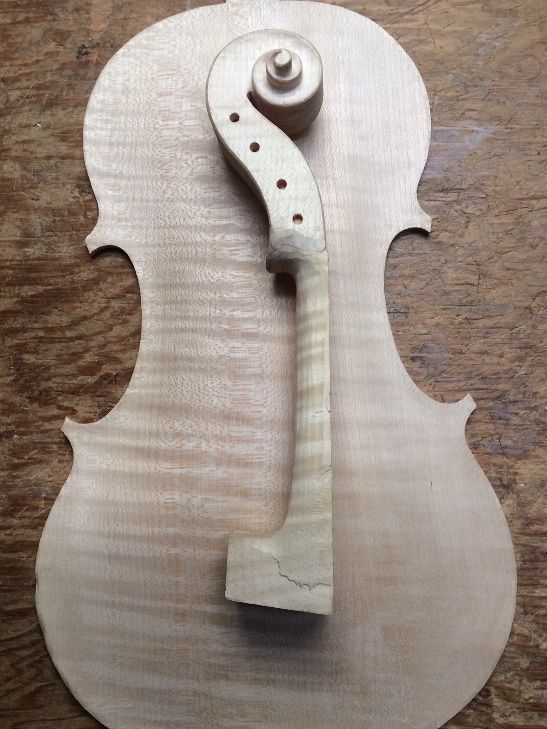 Completed back plate with neck-grafted scroll.