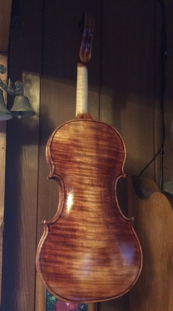 Varnished back, before pegs, saddle or endpin.