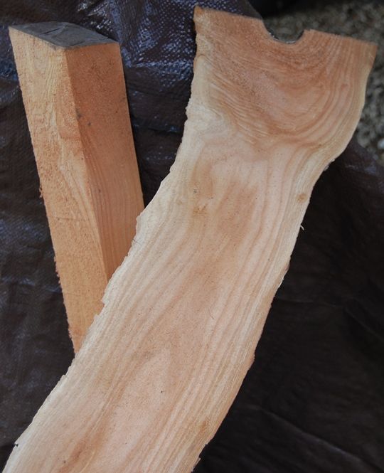 Willow lumber