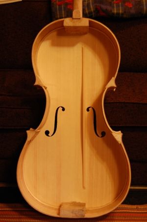 Rough cello interior