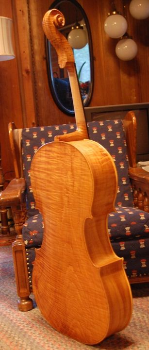 Back quarter view of cello with one-piece back, and one coat of varnish.