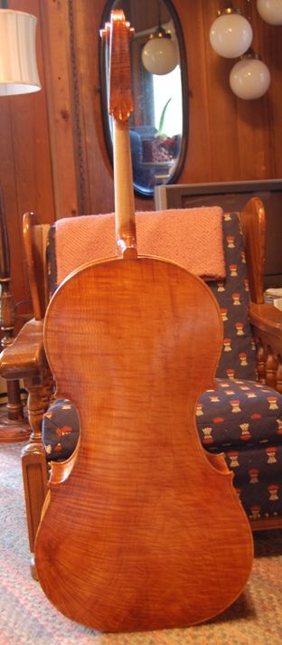 Cello back with four coats of varnish.