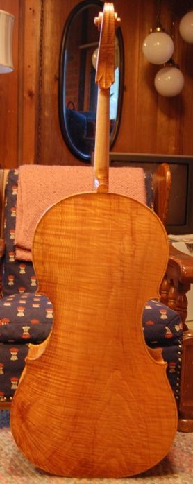 One-piece cello back with one coat of varnish