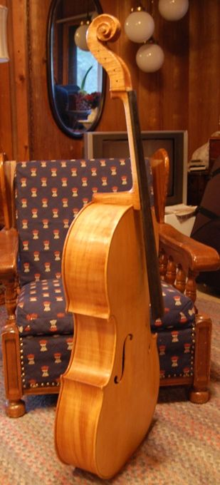 Front quarter view of cello with one coat of varnish
