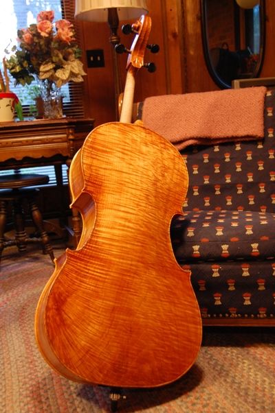 Cello back with pegs and end-pin.