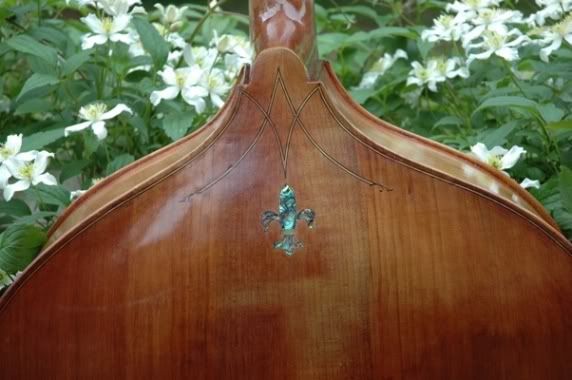 Double Bass Back Detail