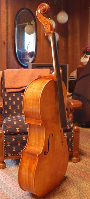 Cello front quarter with four coats of varnish.