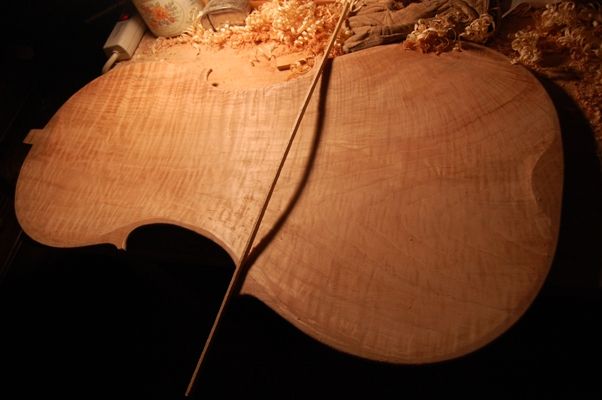 Inside one-piece cello back with shadow to show curves.