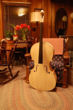 Cello in the white from front side.