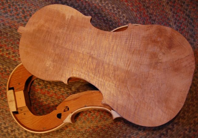 One-piece cello back plate with garland on mold