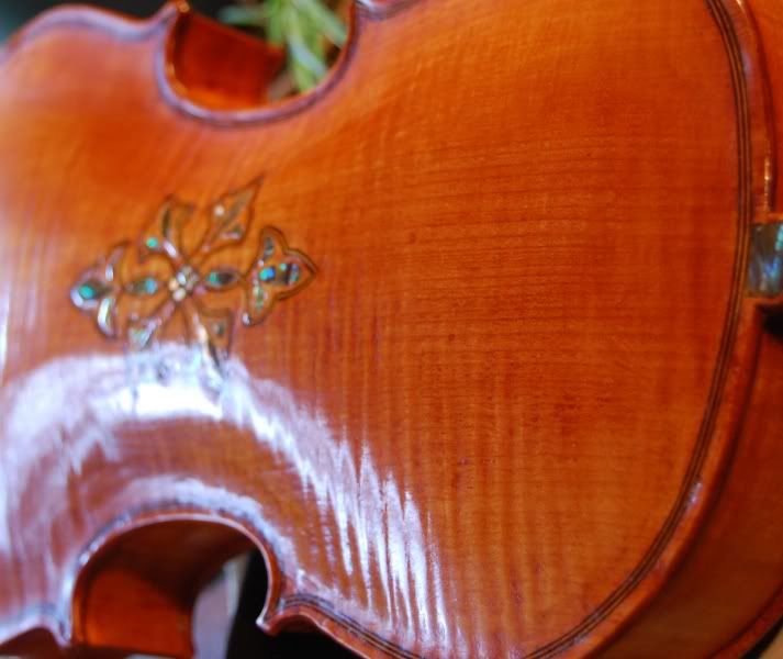 Brian's Viola Back Detail