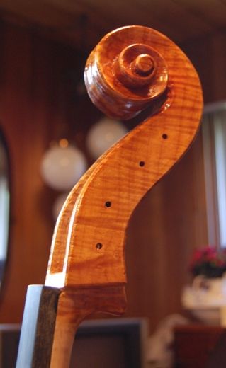 Cello scroll with four coats of varnish.