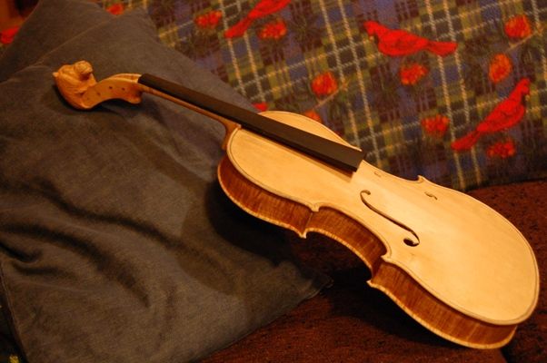 side view lion-head viola before varnishing