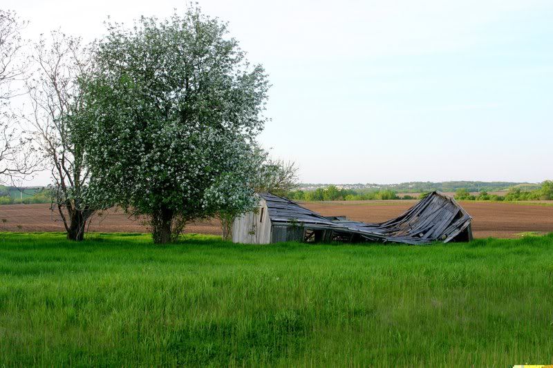 IMAGE: http://i204.photobucket.com/albums/bb106/Iowa54/QT/IMG_3769.jpg