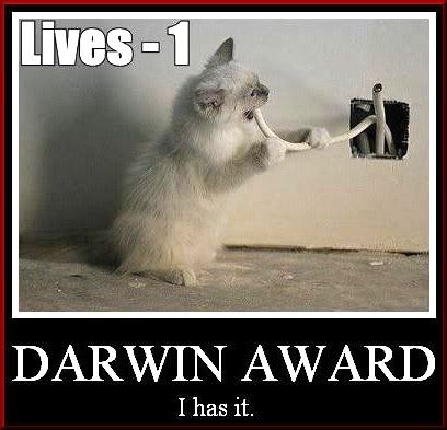 DARWIN AWARD