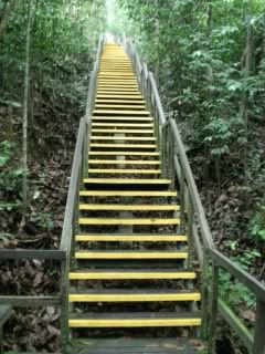 MacRitchie