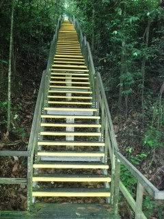 MacRitchie