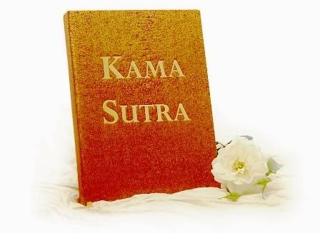 Posições do Kama Sutra - Veja Algumas Posições Interessantes Para Melhorar Sua Vida a Dois  