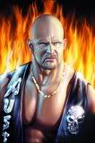 Stone Cold--Awesome