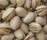 Pistachios Pictures, Images and Photos